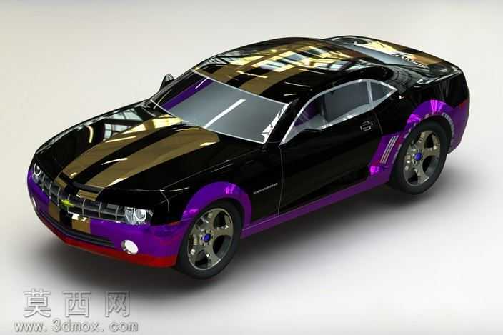 2010Camaro

