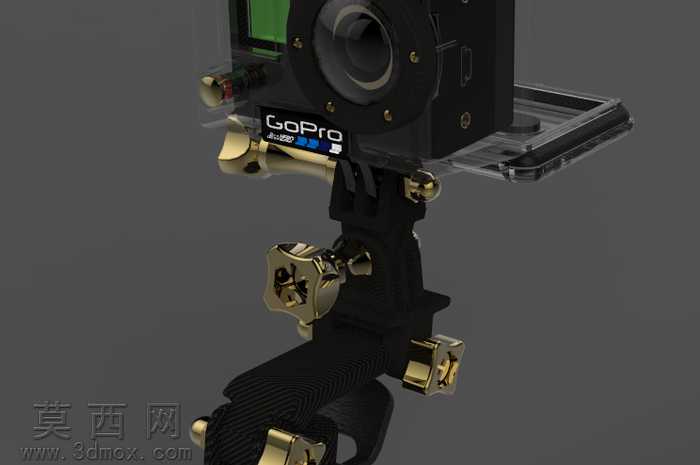 Gopro
