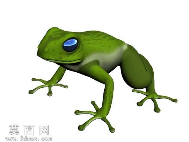 青蛙