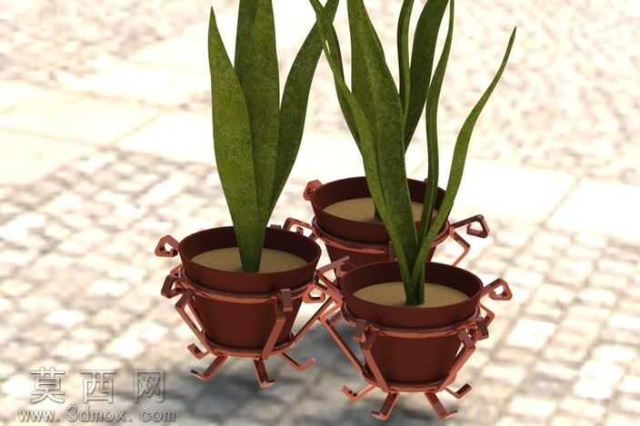 植物和花瓶