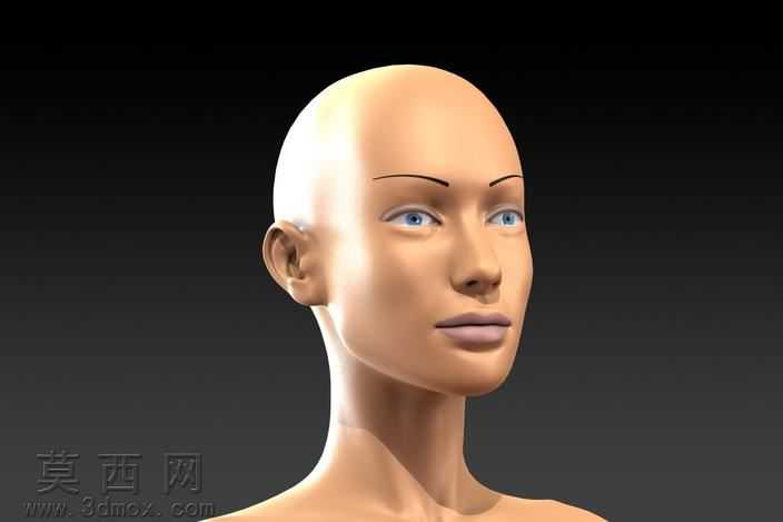 人体头部缩放(轮表面模型到固体模型)