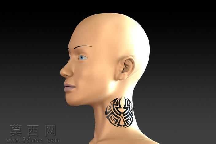 人体头部缩放(轮表面模型到固体模型)