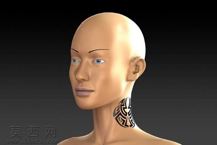 人体头部缩放(轮表面模型到固体模型)
