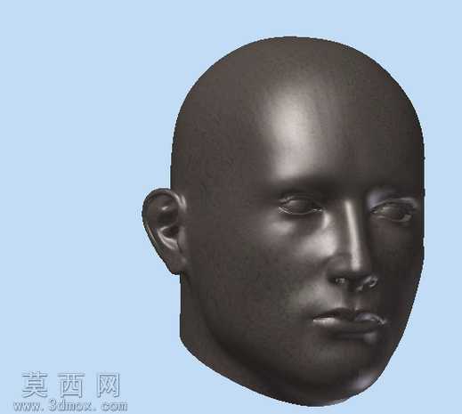 人体头部缩放(轮表面模型到固体模型)