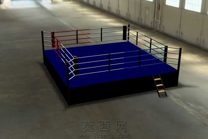 拳击