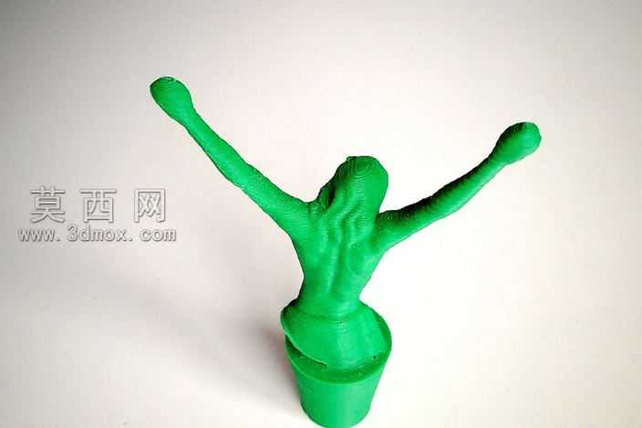 3dʵ���Ҵ�ӡ-��ľ��
