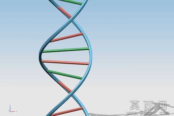 DNA
