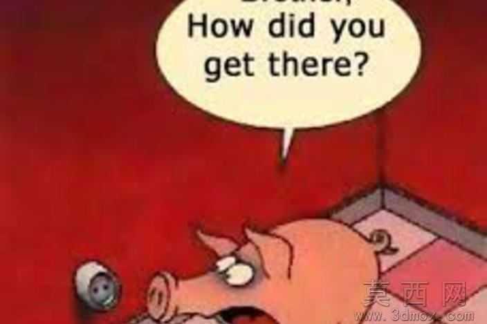 ӲҪԭ����Щ��......
