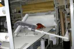 �̹�
