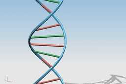 DNA
