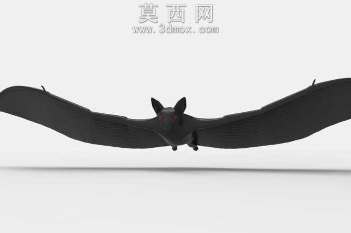 蝙蝠