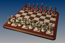 国际象棋组