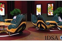 IDSA��Ⱦ������ս
