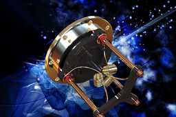 ҶƬ�춥femelle