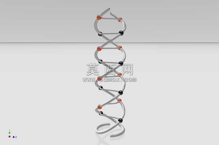 structura与DNA结构