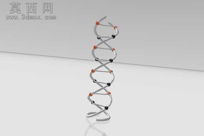 structura与DNA结构