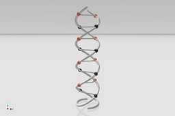 structura��DNA�ṹ