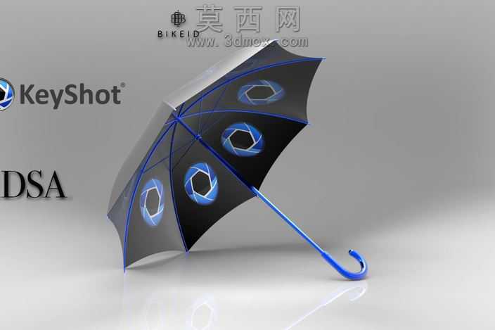 ɡ-IDSA���ֵ���ս
