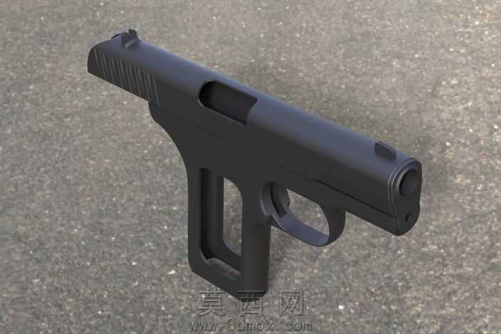 TokarevTT-33projekt
