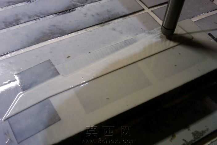 胡蜂属定制地板。