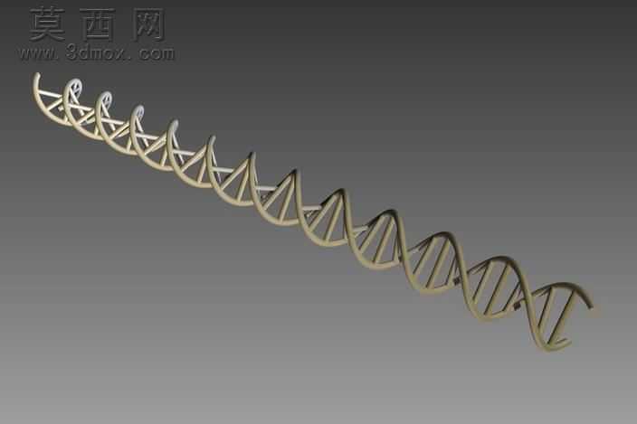 dna˫�����ṹģ�����