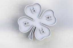 4H��Ҷ��