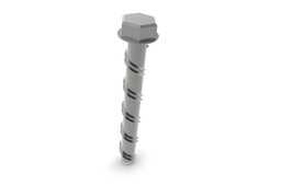 10x100screwbolt
