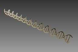 dna˫�����ṹģ�����