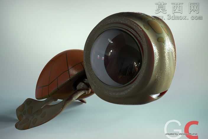 小乌龟