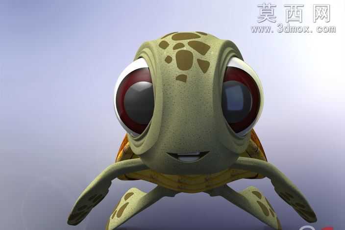 小乌龟