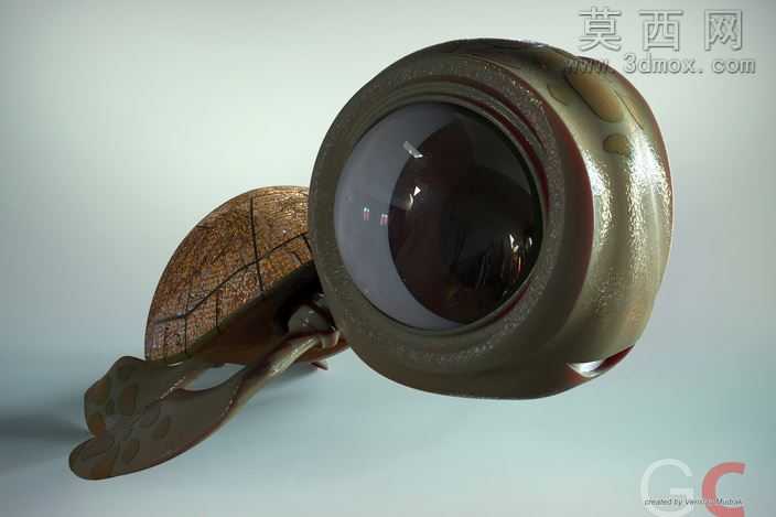 小乌龟