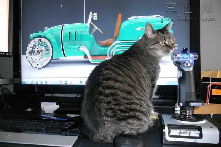 Ѳ�����ֳ�1951�꣢������
