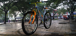 MTBӲβ29er
