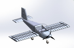 Rv 12�ɻ�
