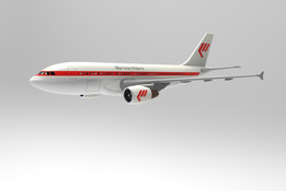 �տ�A310�����ڶ�
