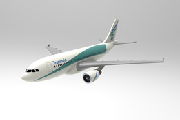 �տ�A310 Transavia