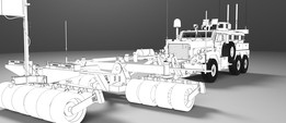 ����ʨ