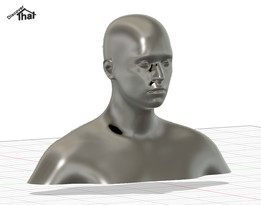 һ���˵�ͷ�������壨