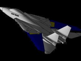��³��F-14A�ɱ������ս������