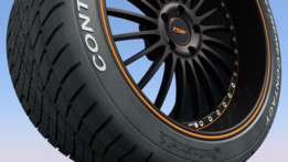 ���£�����TSW����w.C