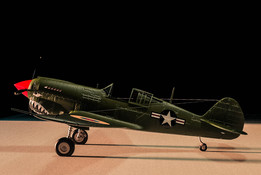�µ�˹P-40���ٻ��ˣ�