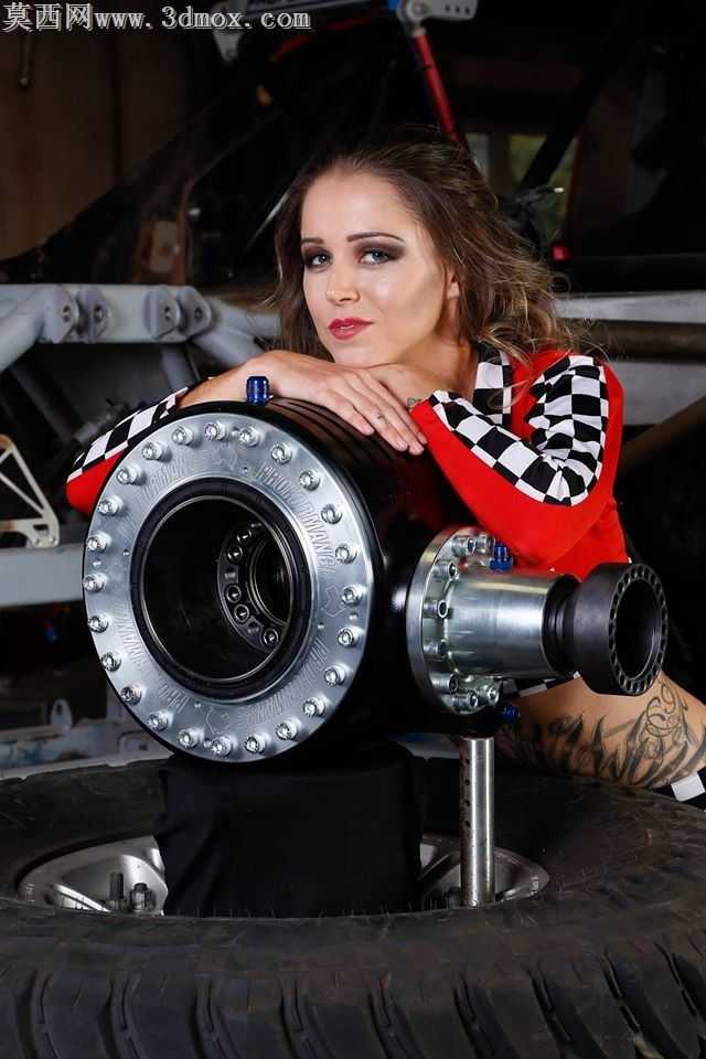 PROFORMANCE MOTORSPORT DANA 60超窄差速器,带内部等速万向节,用于较长的轴-更多的车轮行程