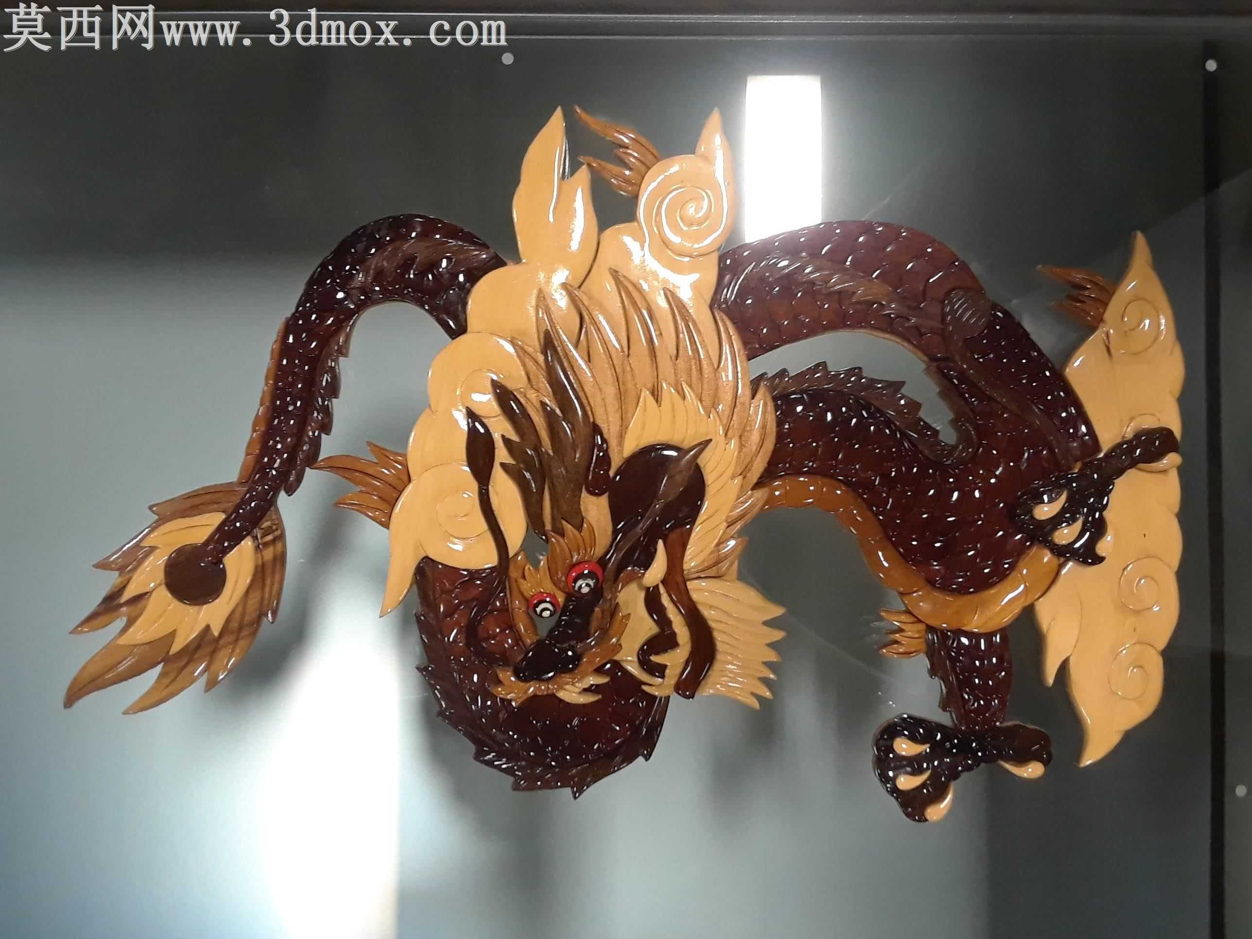 布鲁诺老挝龙,金属板龙