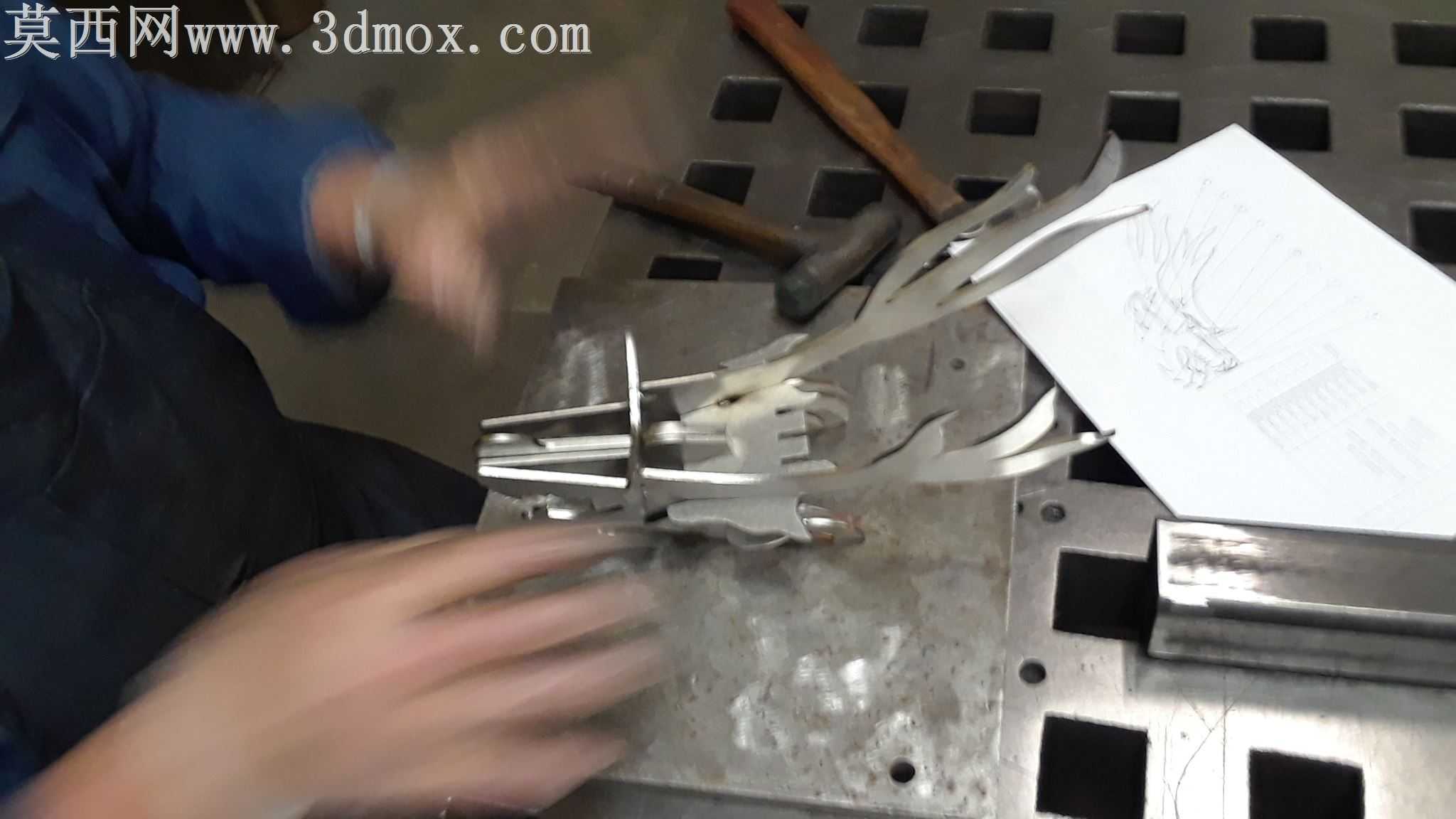 布鲁诺老挝龙,金属板龙