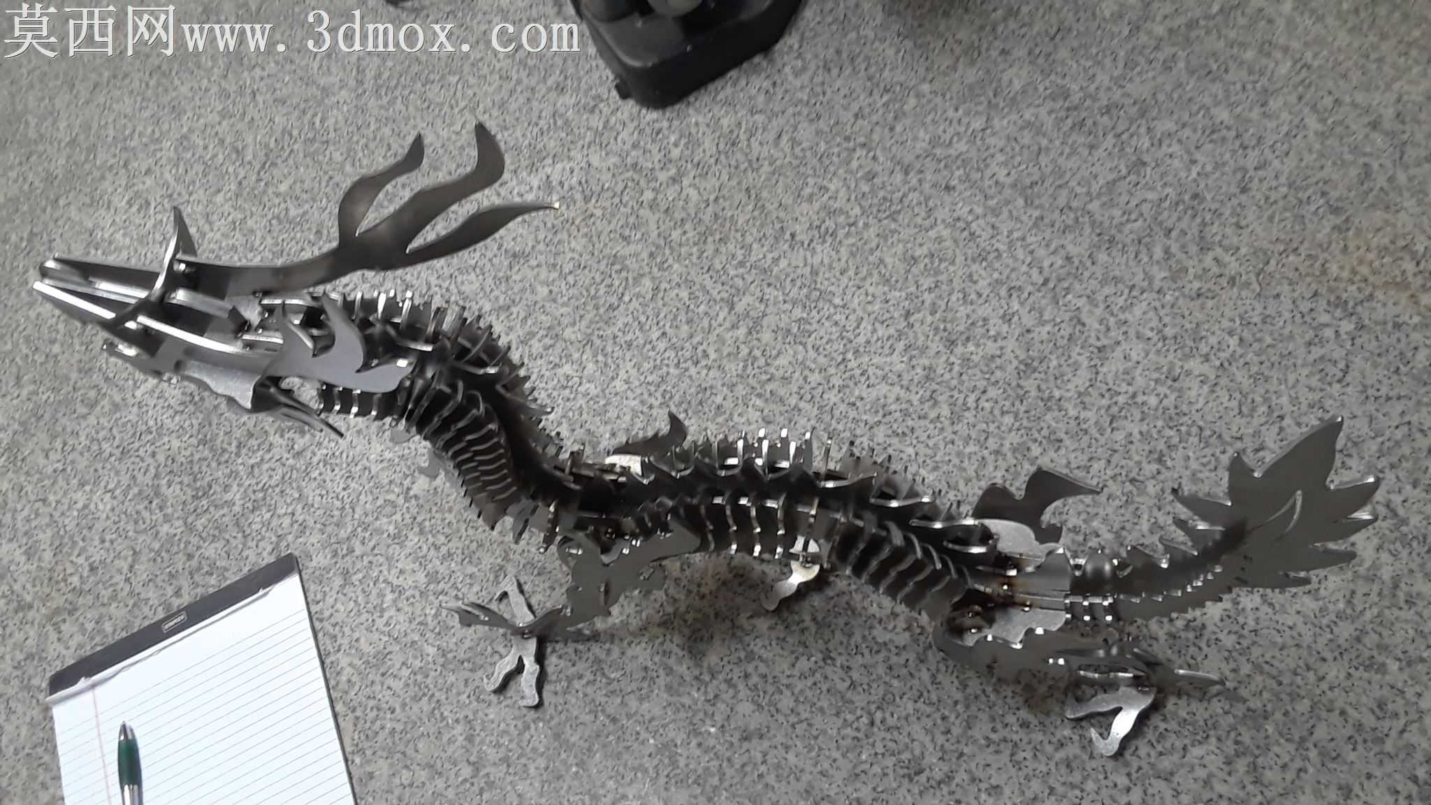 布鲁诺老挝龙,金属板龙