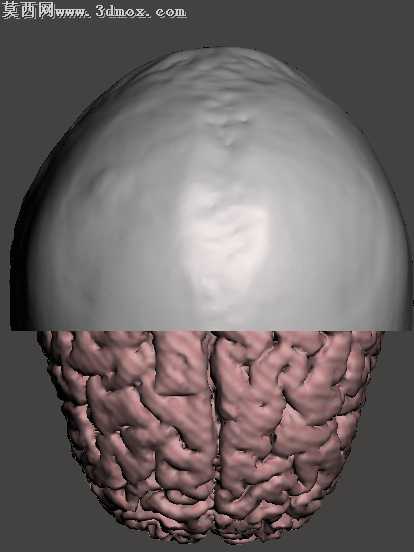 ͷ­���о�