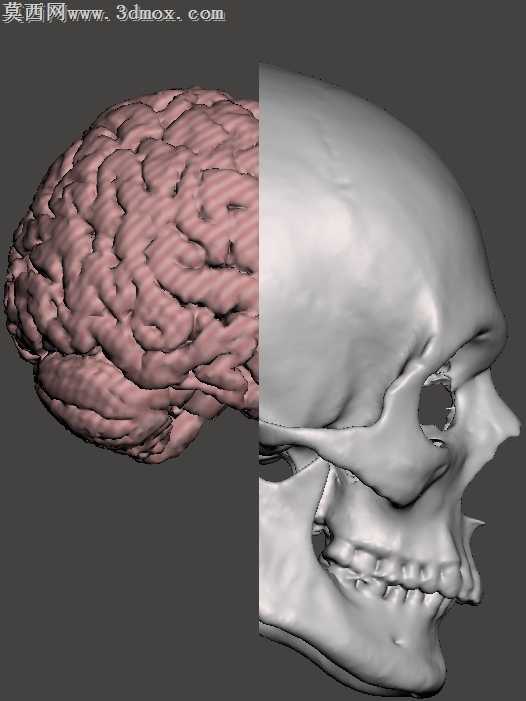 ͷ­���о�