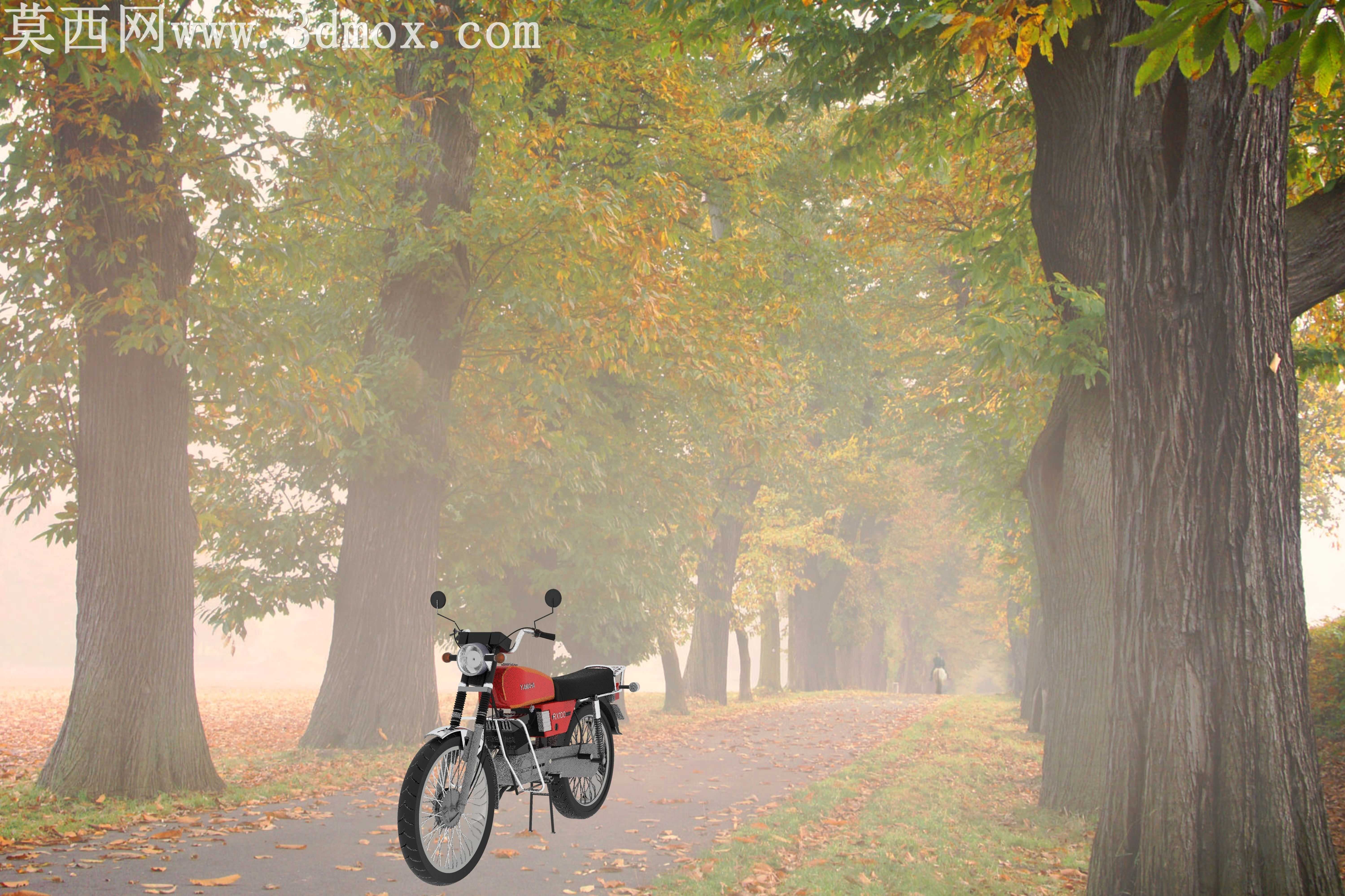 ������rx 100