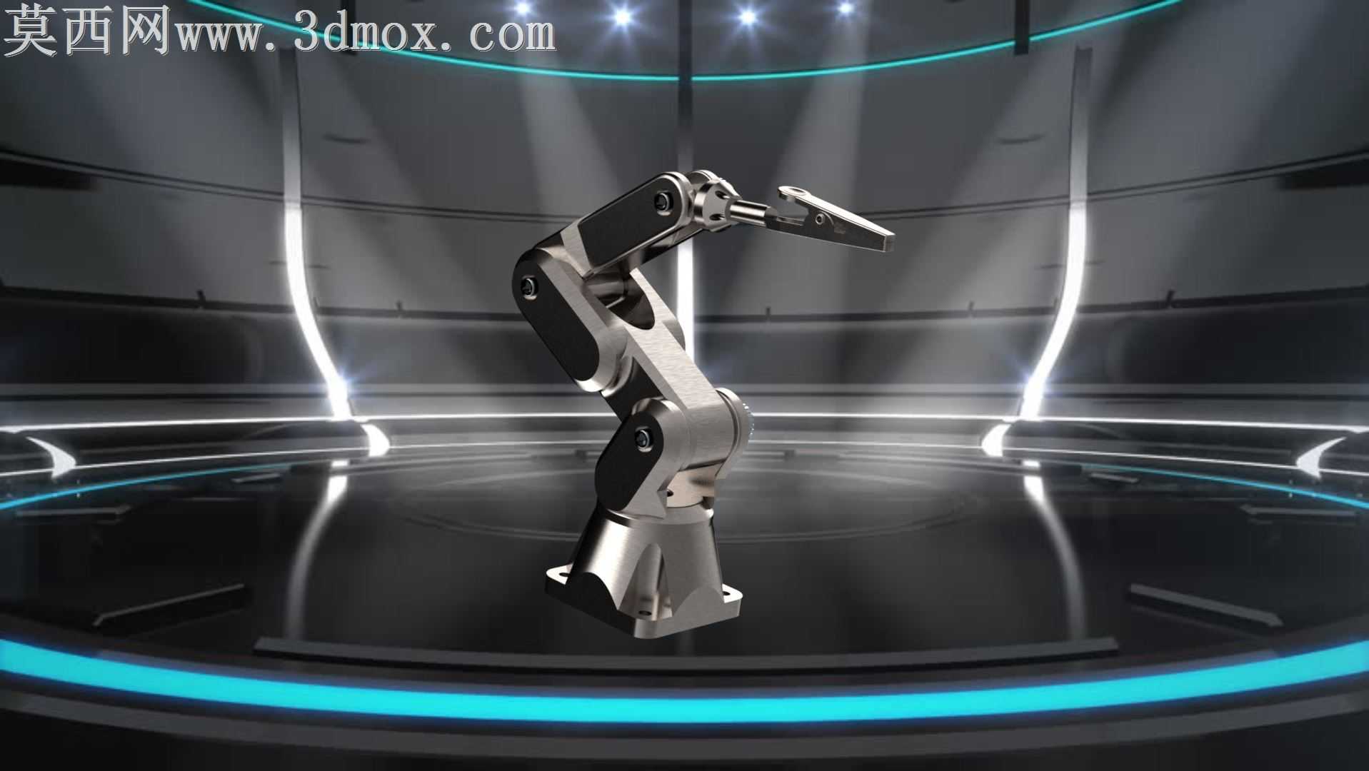 ���Լ�����