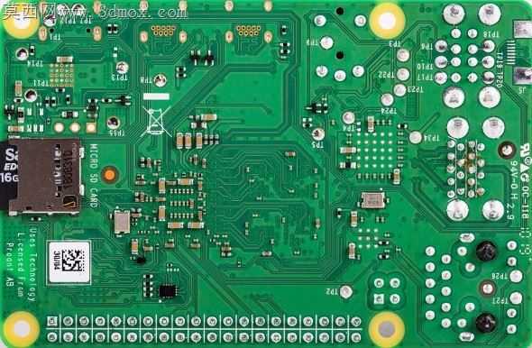 覆盆子皮4 B型